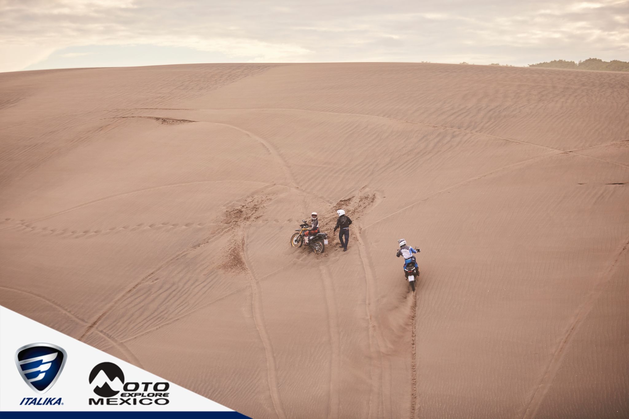 ITALIKA CHACHALACAS D2 462